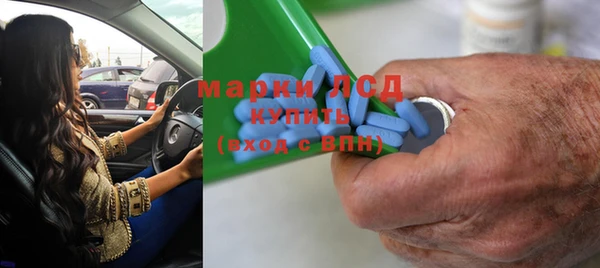 индика Богородицк