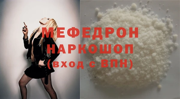 индика Богородицк