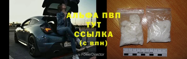 индика Богородицк
