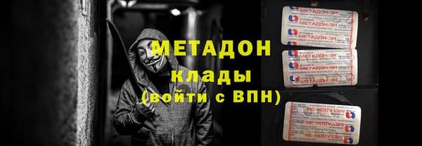 индика Богородицк