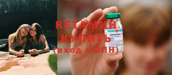 индика Богородицк