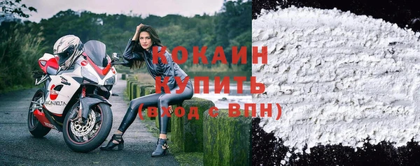 индика Богородицк