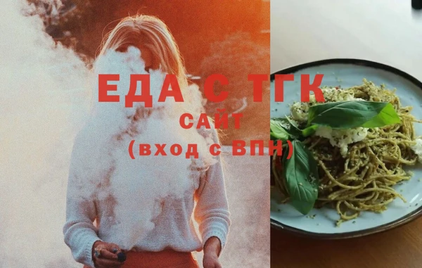 индика Богородицк