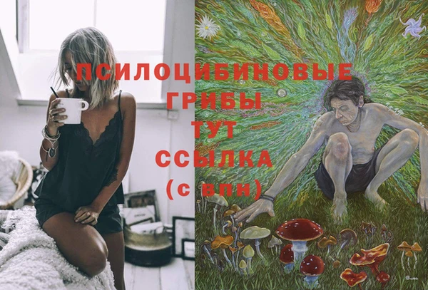 индика Богородицк