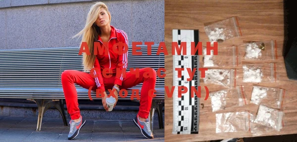 индика Богородицк