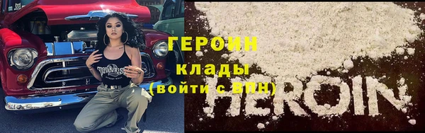 индика Богородицк