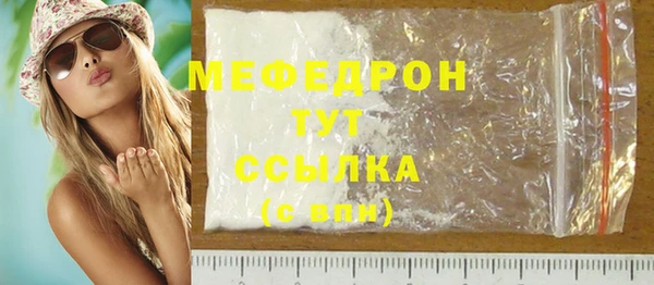 индика Богородицк