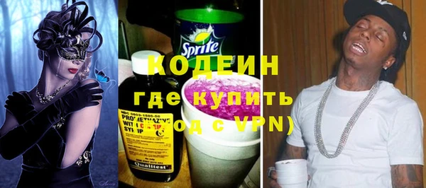 индика Богородицк
