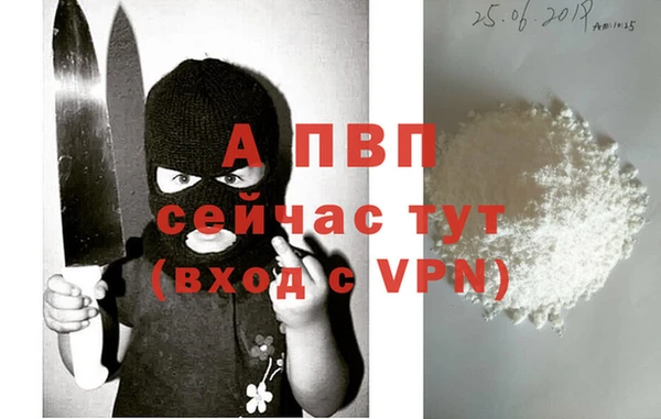 индика Богородицк