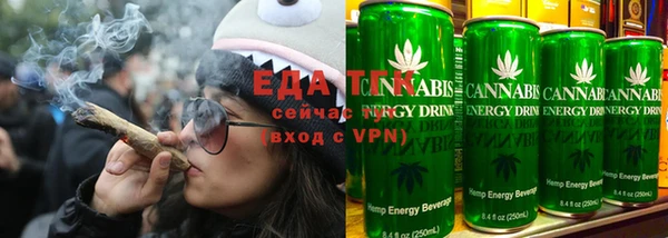 индика Богородицк
