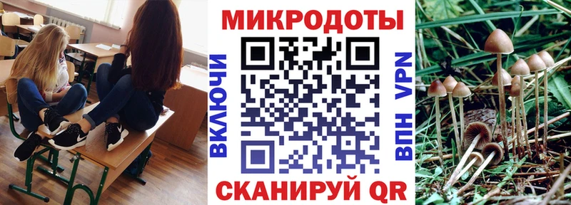Псилоцибиновые грибы Psilocybine cubensis  Купить где  Куртамыш 