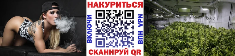 Бошки марихуана LSD WEED  Купить где  Куртамыш 